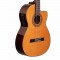 قیمت خرید فروش گیتار کلاسیک  Ibanez GA6CE AM
